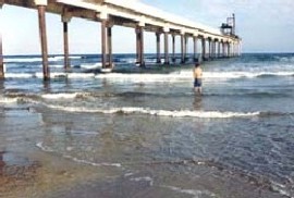 Araranguá 