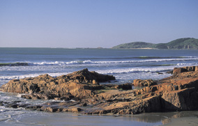 Laguna 