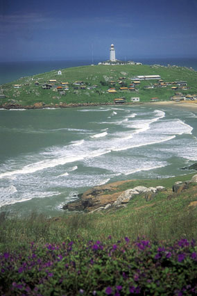Laguna 