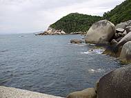 da Tainha