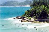 Pinheira