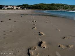 Praia do Gravata
