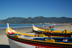 Pântano do Sul