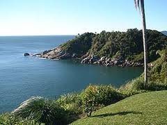 Araça