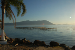 Ribeirão da Ilha